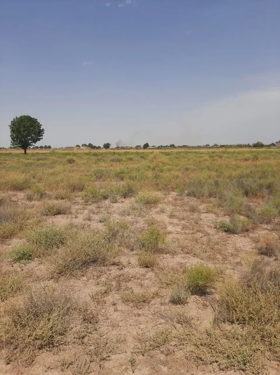 زمین ۵۰۰ متری