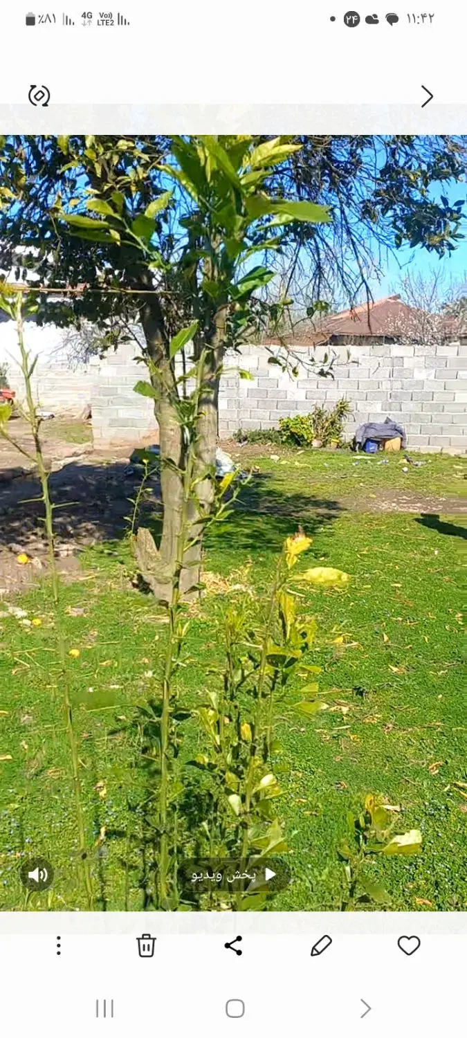 فروش   زمین  مسکونی