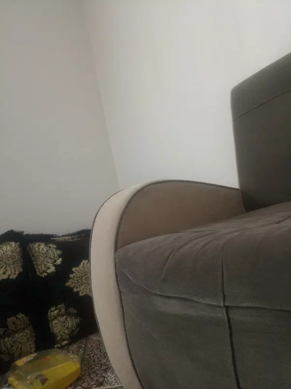 هم خانه خانم