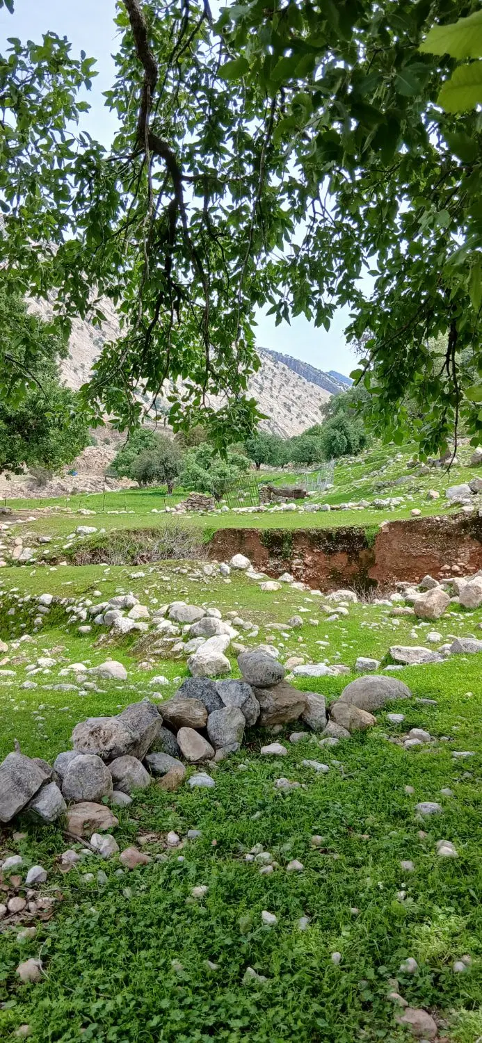 خانه کلنگی