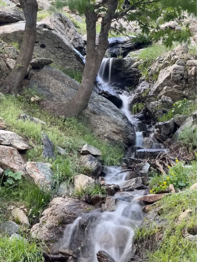 ماله کُونم اوه