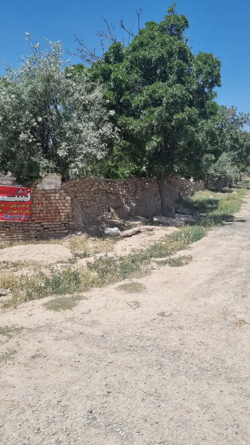 زمین کشاورزی بر جاده آسفالت سند تک برگ