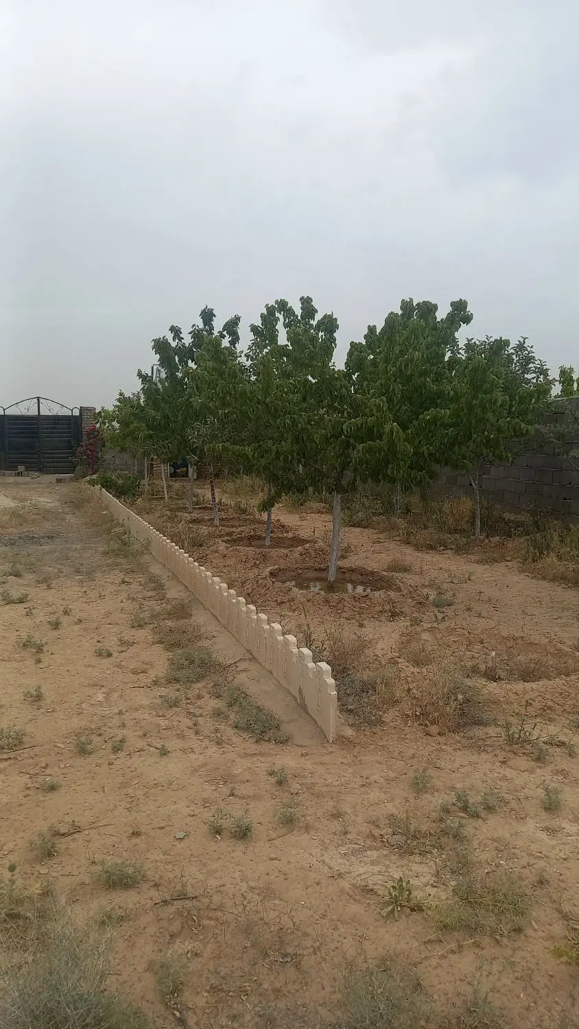 زمین باغی ۵۵۰ متر