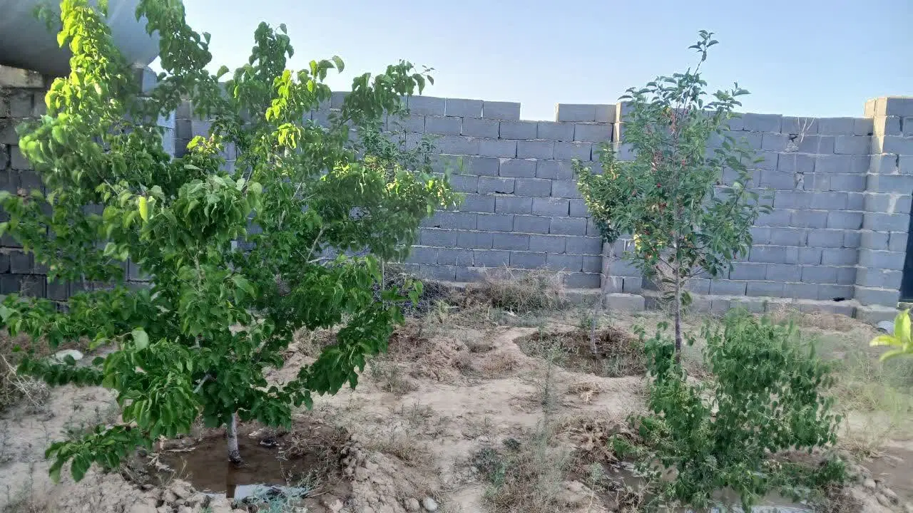 باغ ۵۰۰ متری در شاهنامه ۶۹