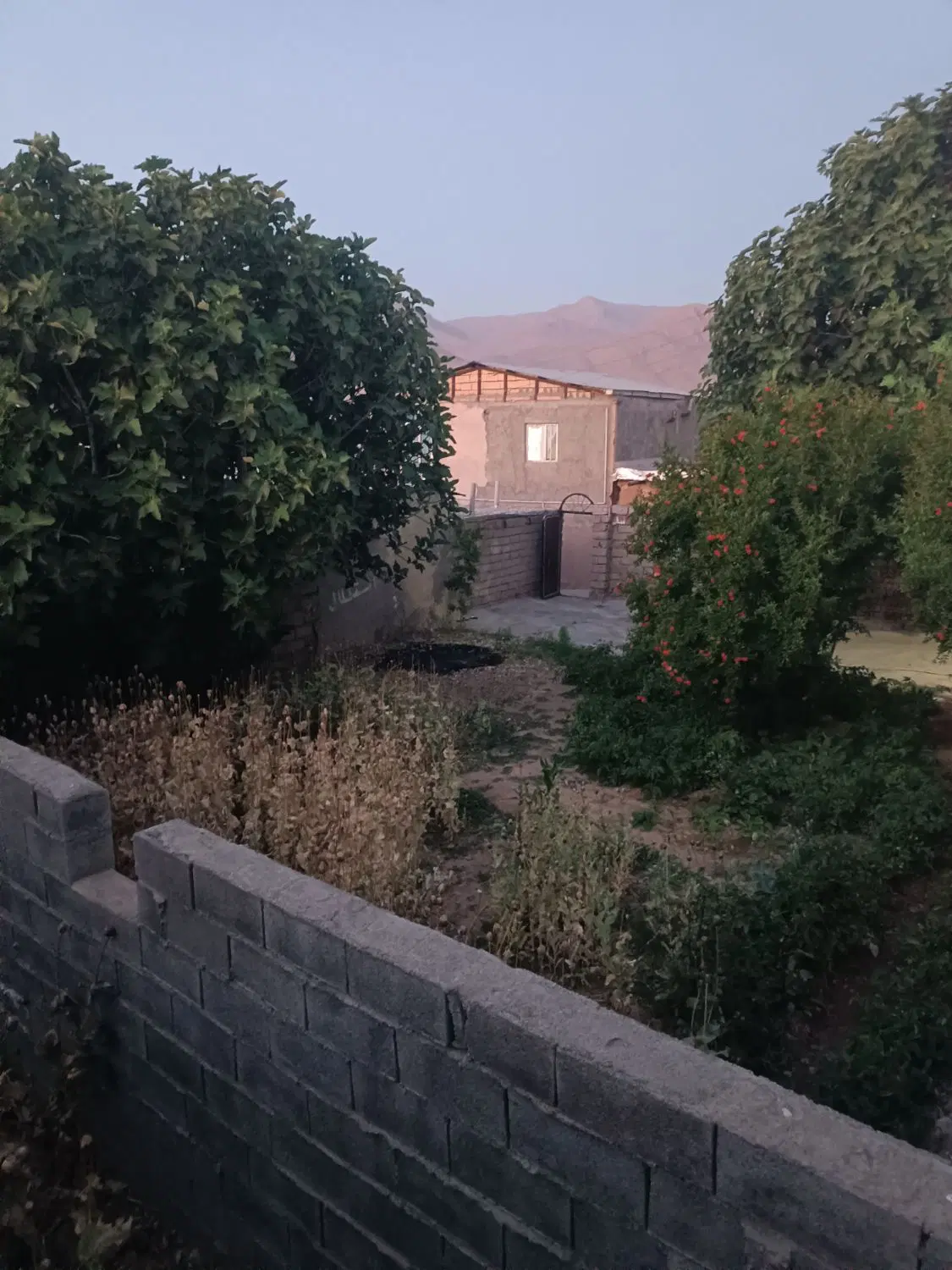 رهن واجاره