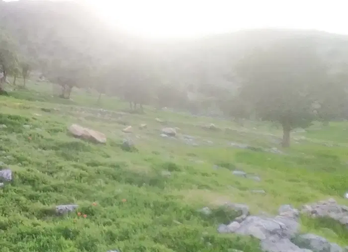 ۲۹۵متر_کریم آباد
