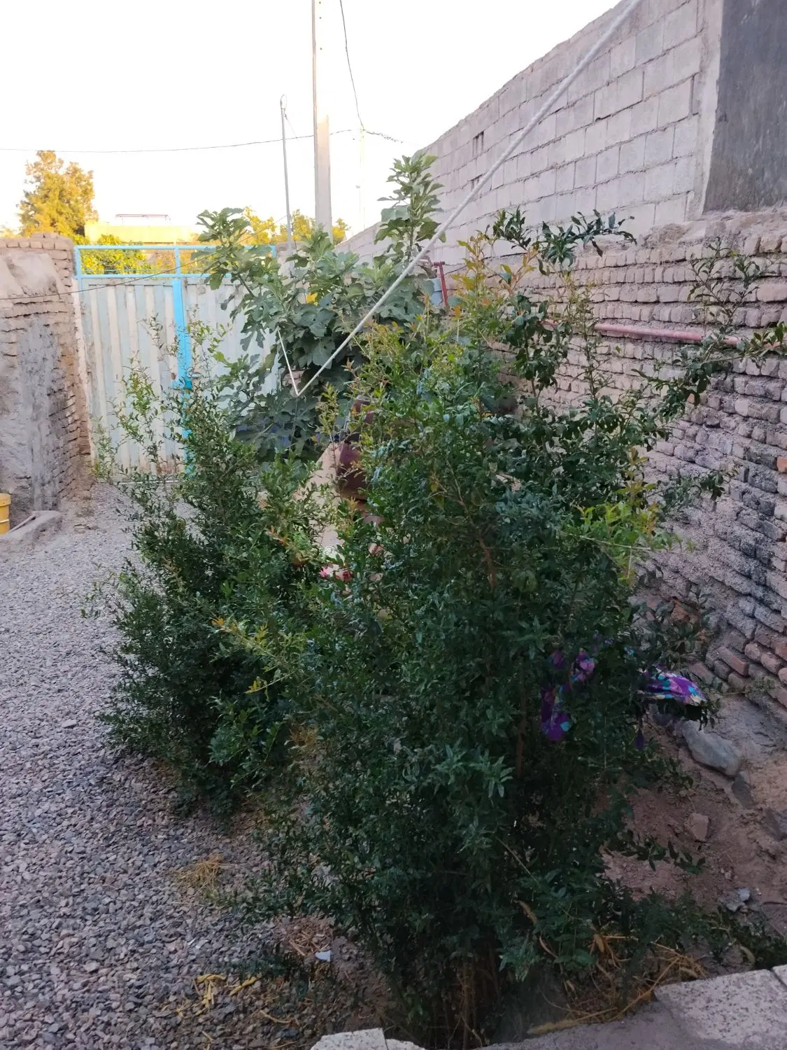 خانه فروشی