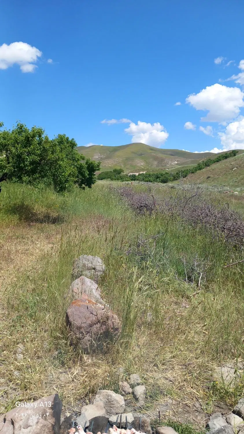 زمین مسکونی اردکلو
