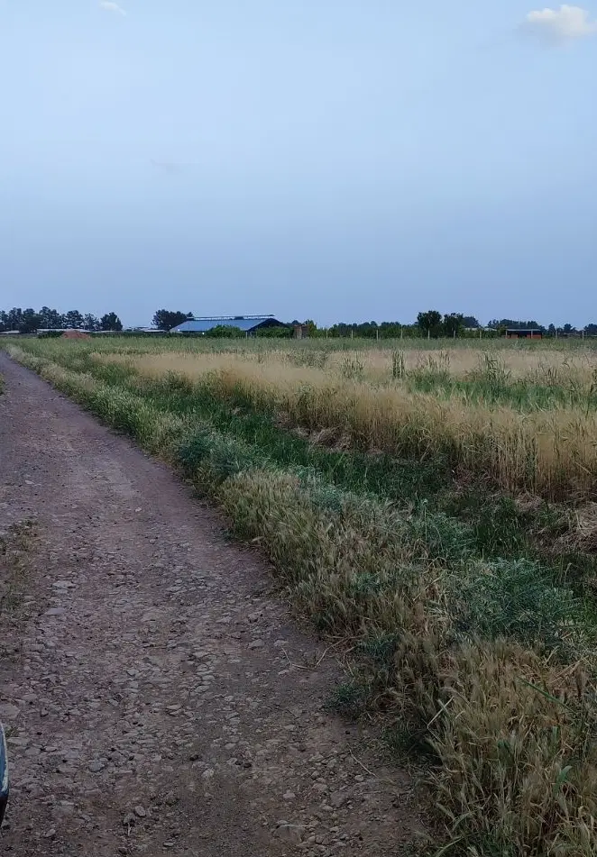 زمین فروشی مناسب ویلا سازی