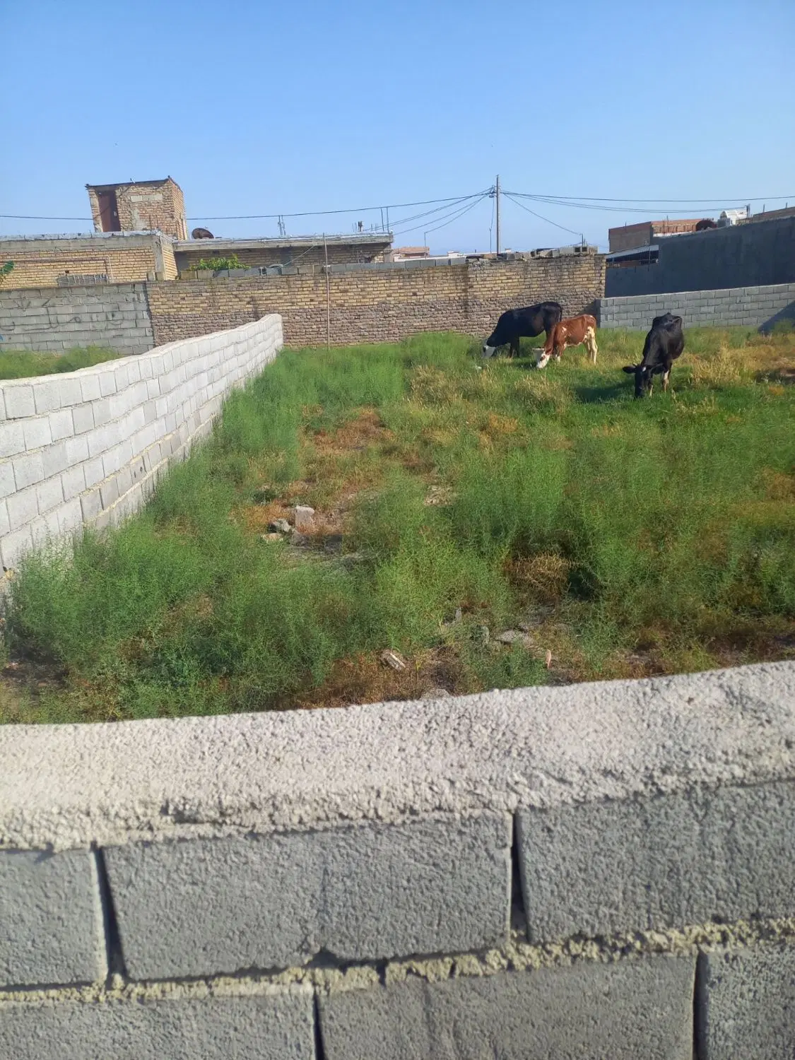 زمین فروشی ارمی اباد