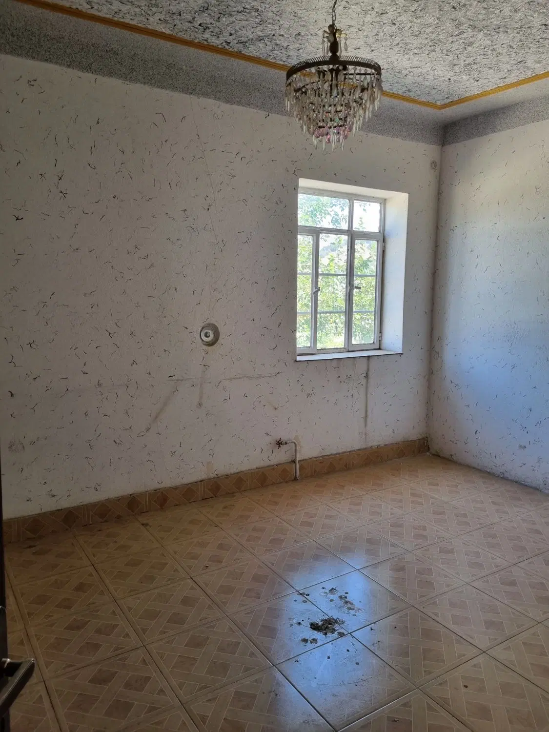 دفتر کار وکالت.بیمه به صورت اتاق