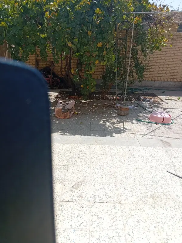 فروش زمین مسکونی در شاهرخ آباد