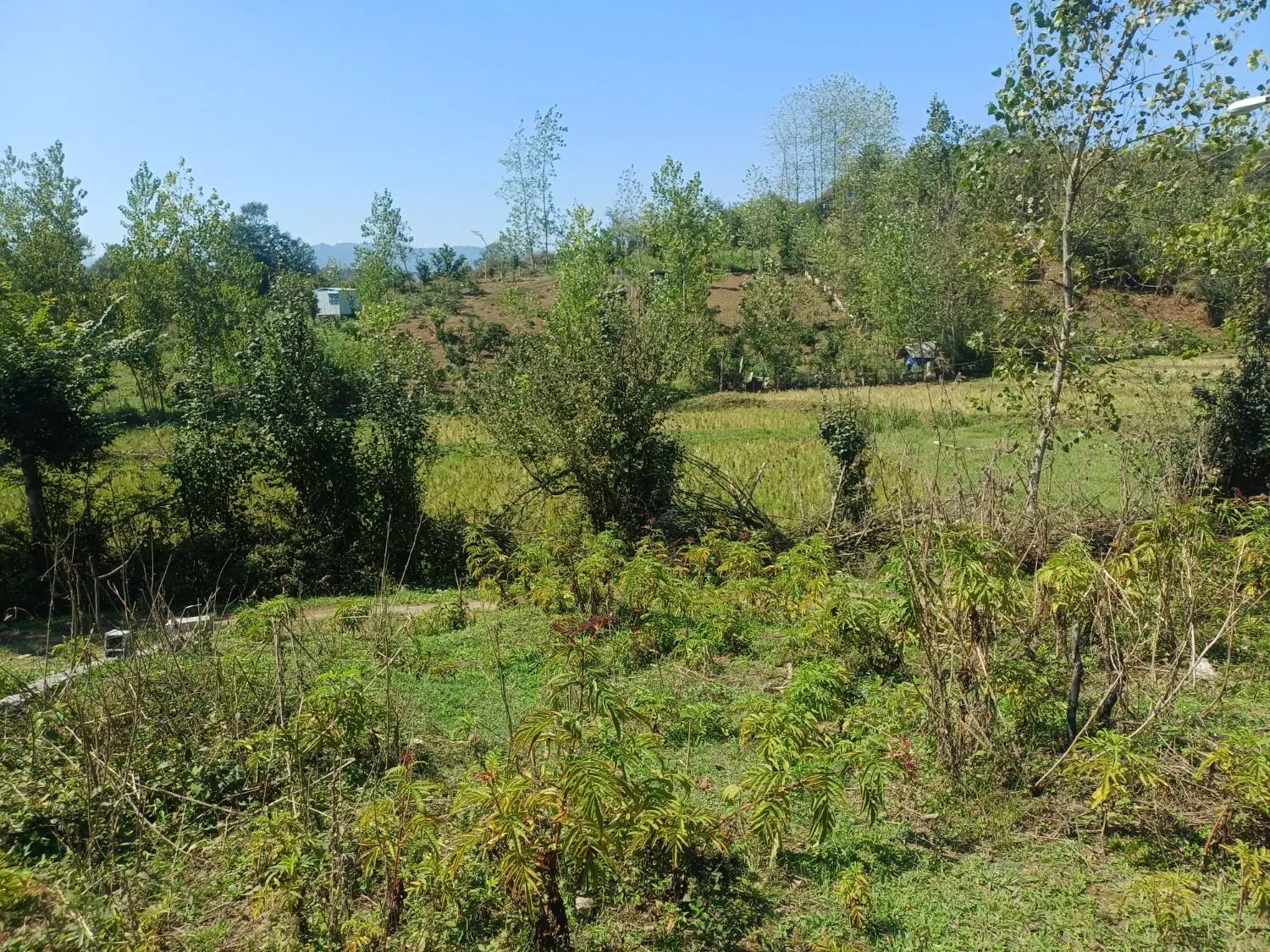 زمین فروشی