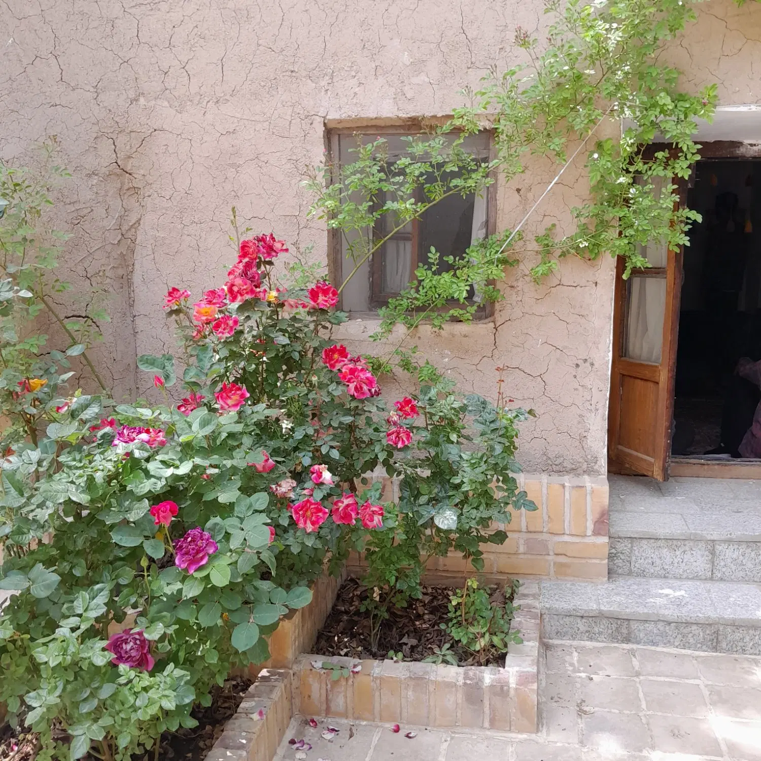 مغازه تجاری
