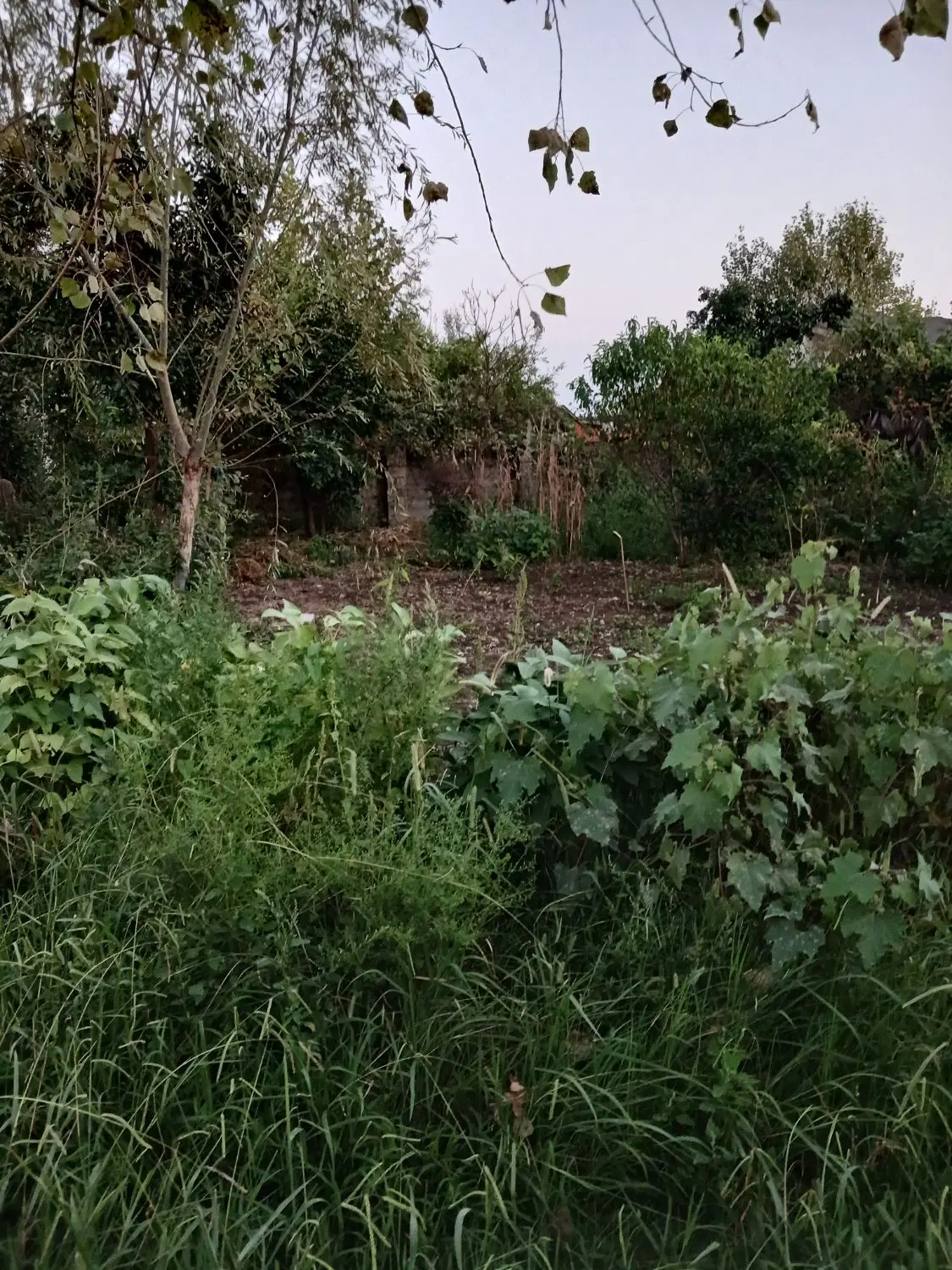۲۱۸ متر زمین مسکونی