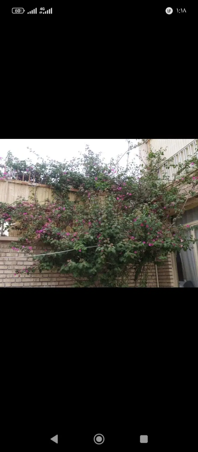 خانه فروشی 178متری دو طبقه جعفرطیار 25