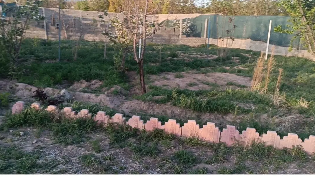 باغ هزار متری