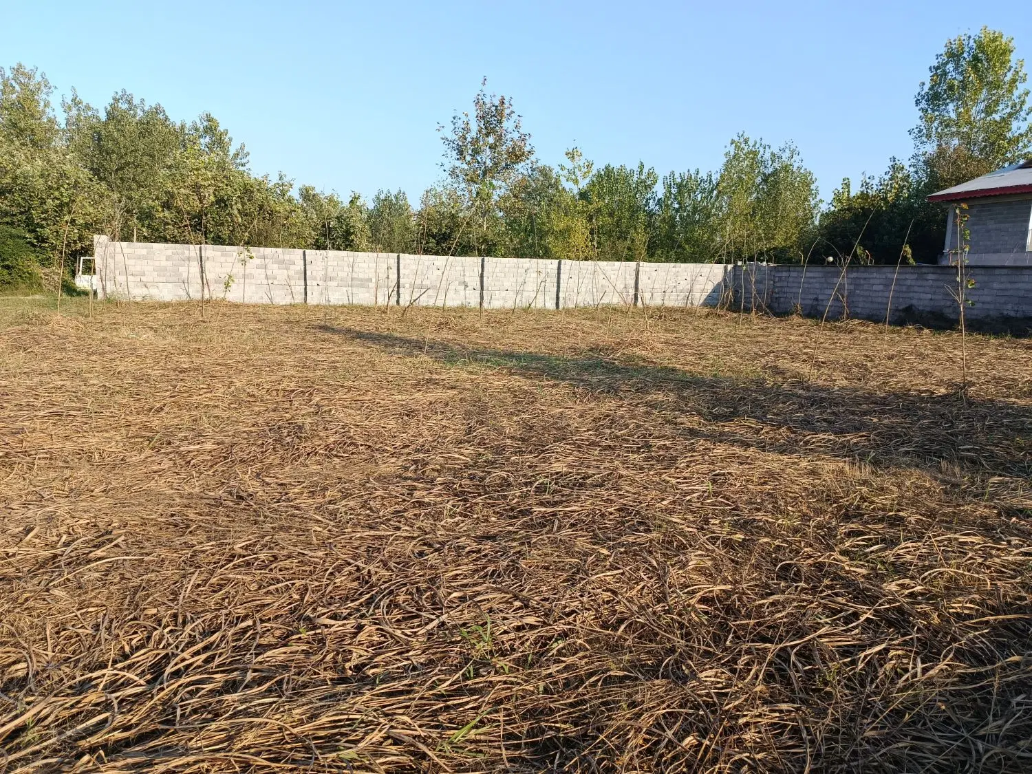فروش زمین باغی