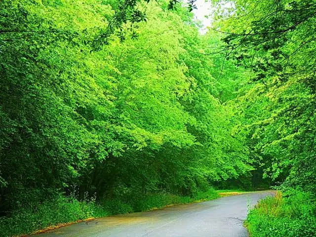 روش قیمت گذاری زمین،چلندر،ملکار،انارور