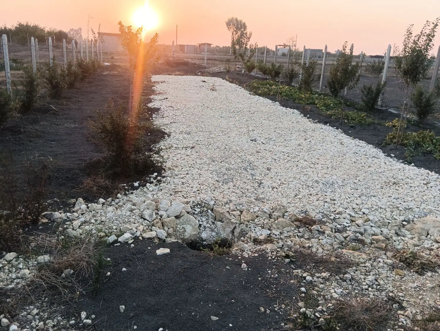 زمین دویست و پنجاه متر