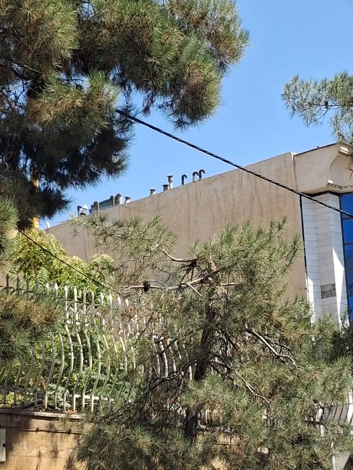 ۳۳۰ متر سرمایه گذاری عدل خمینی