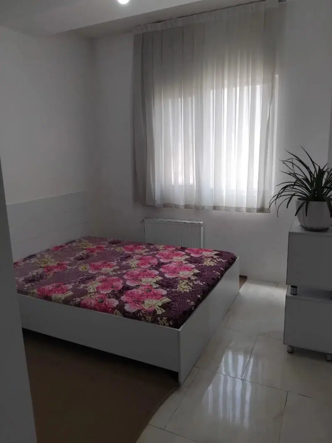 منزلی دربست اجاره ای