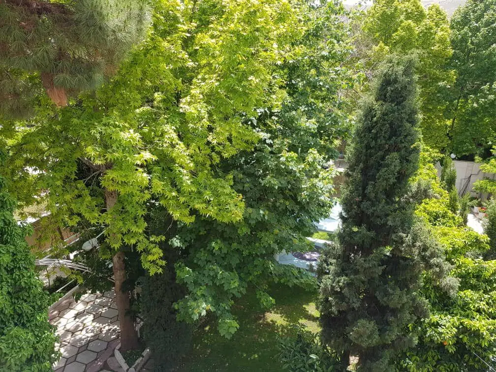 خانه ویلایی ۱۲۶۰متر*قصرالدشت کوچه۷۹(باشگاه افسران)