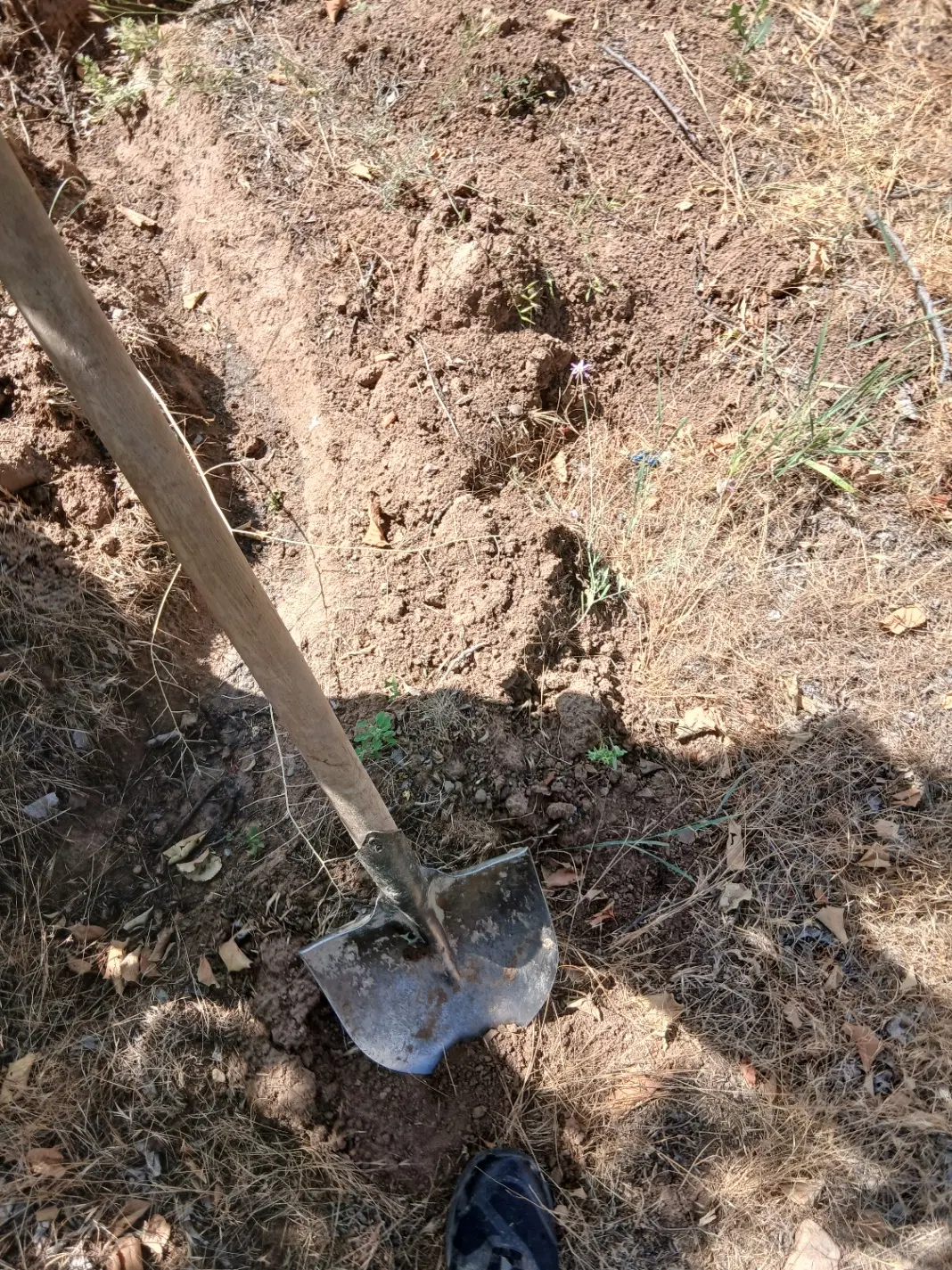 زمین داخل بافت طالقان