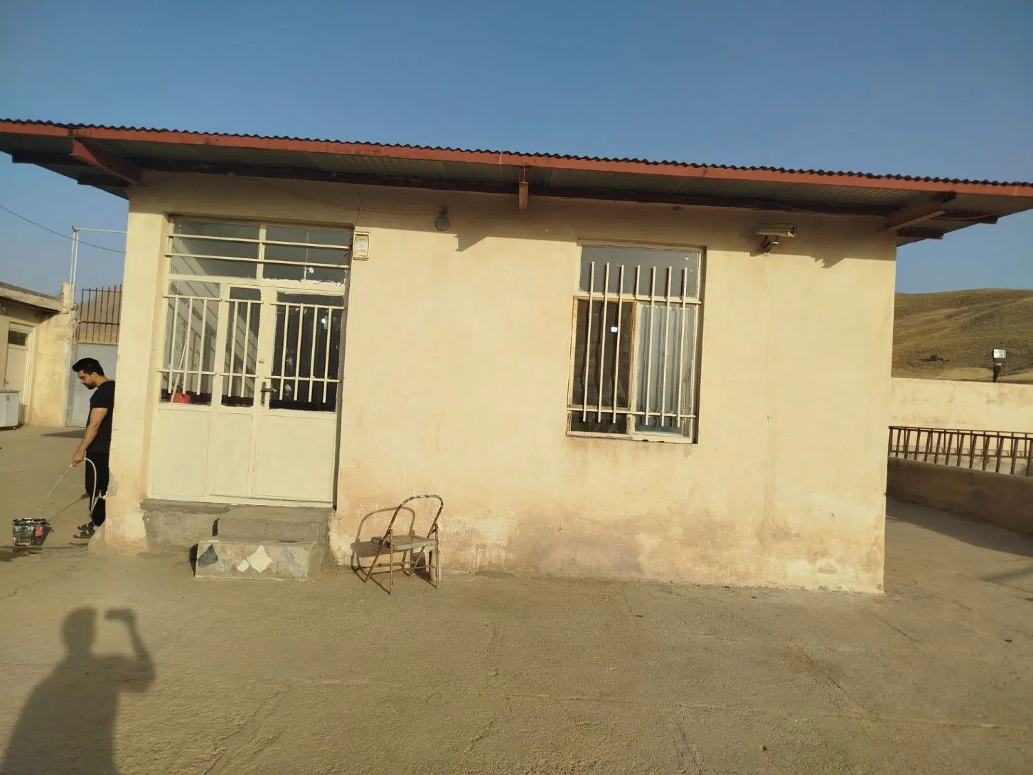 دامداری  صنعتی ۱۰۰ راسی گوساله