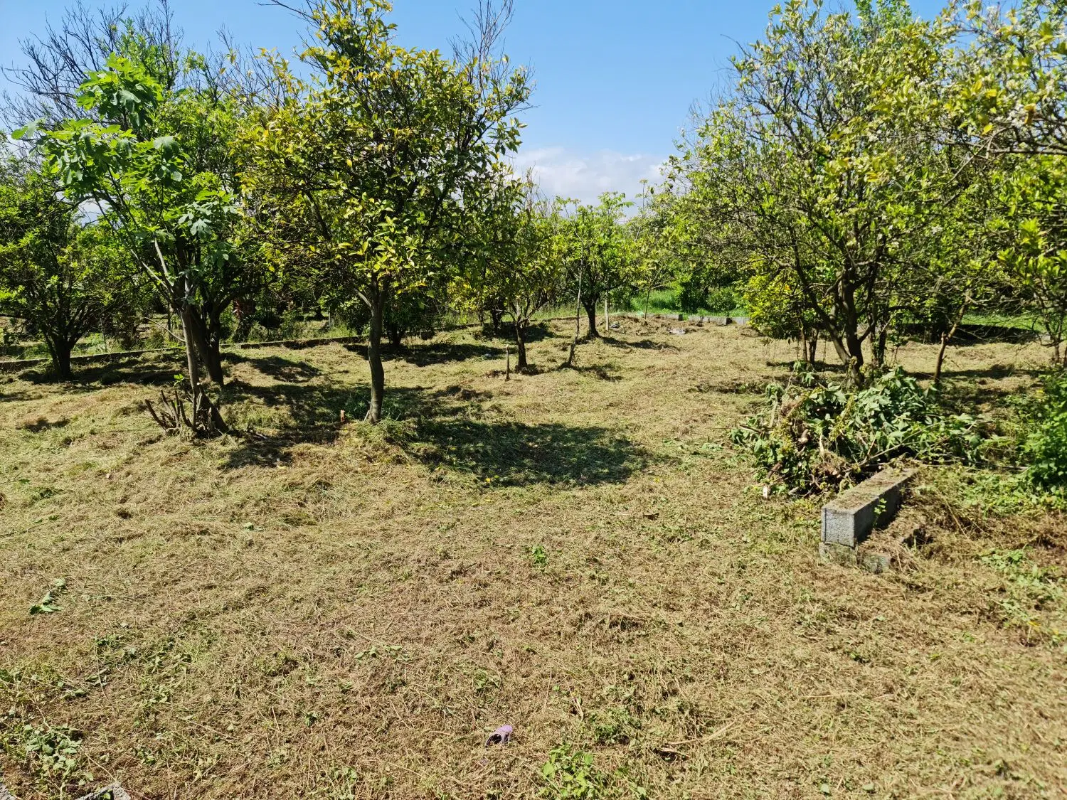 زمین ۲۱۶ متر