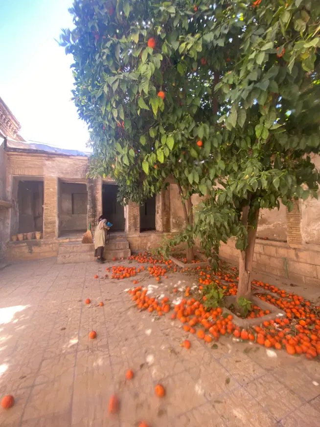 هم خونه خانم