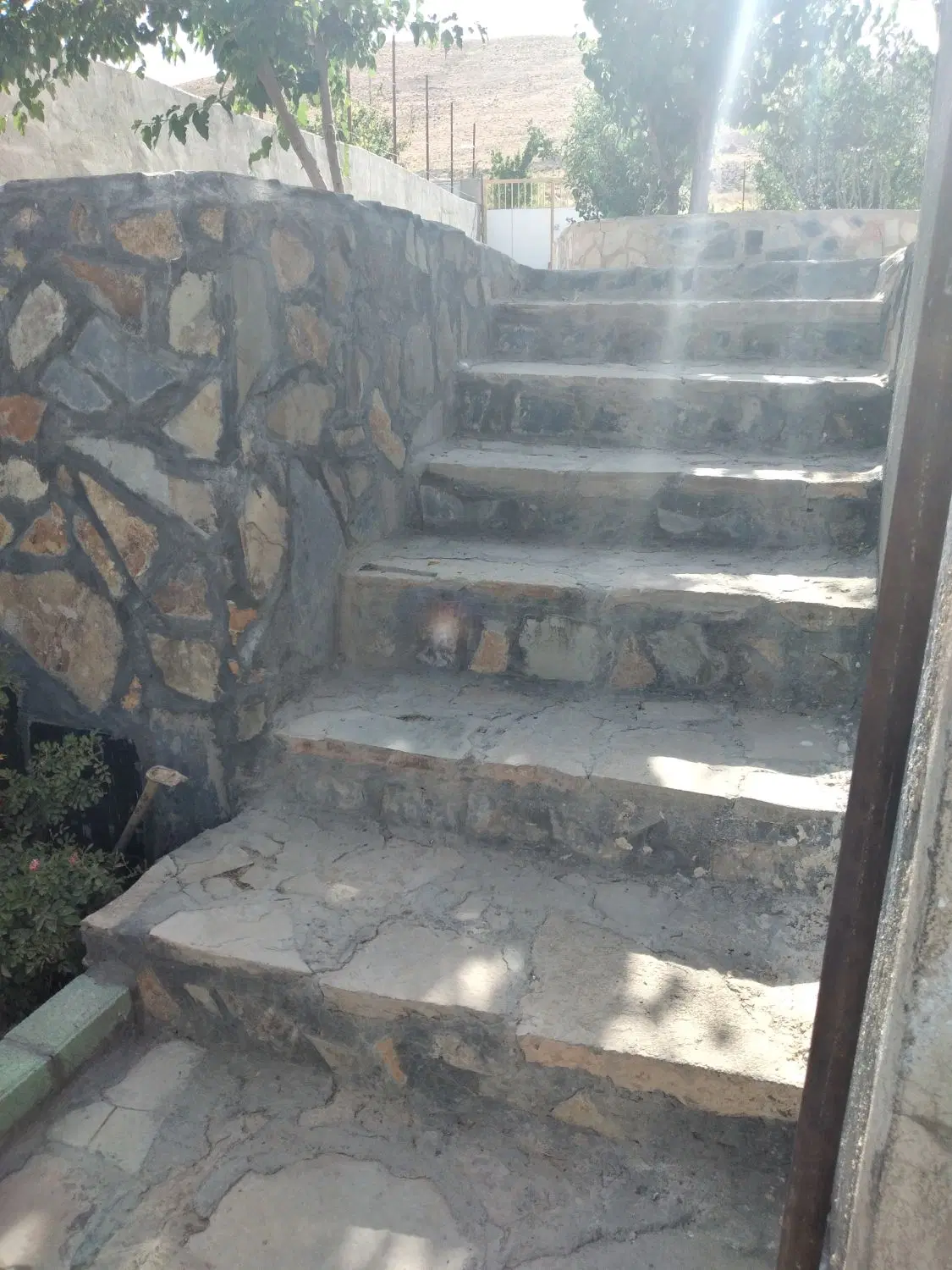 باغ چهار دیواری،دارای برق