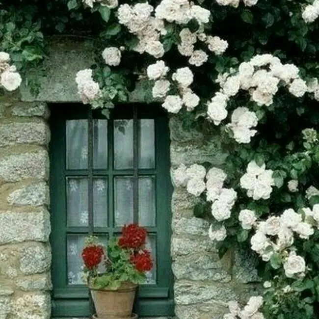 ۵۰ متر همکف _ ۶۰ متر حیاط اختصاصی