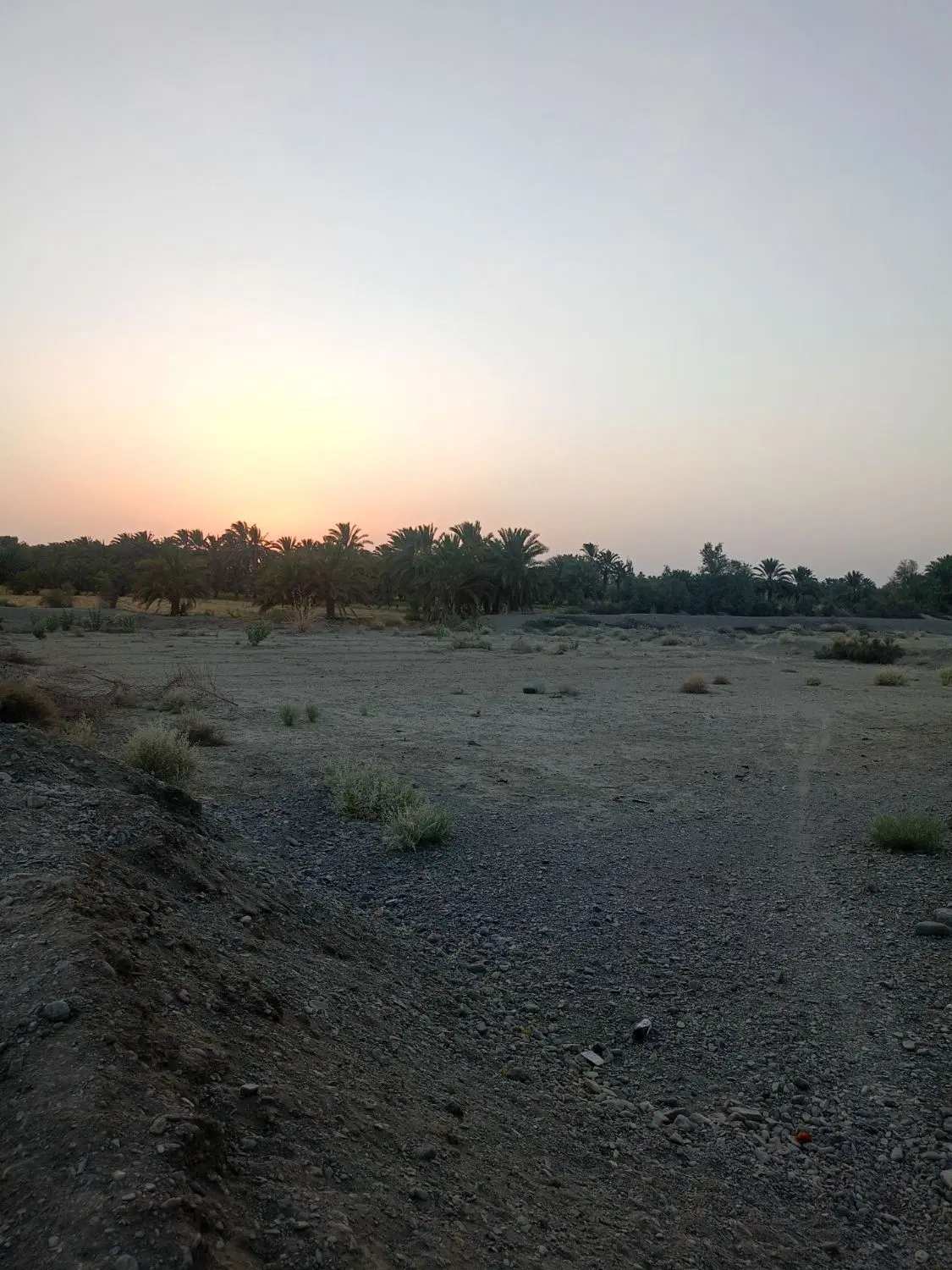 زمین‌ کشاورزی