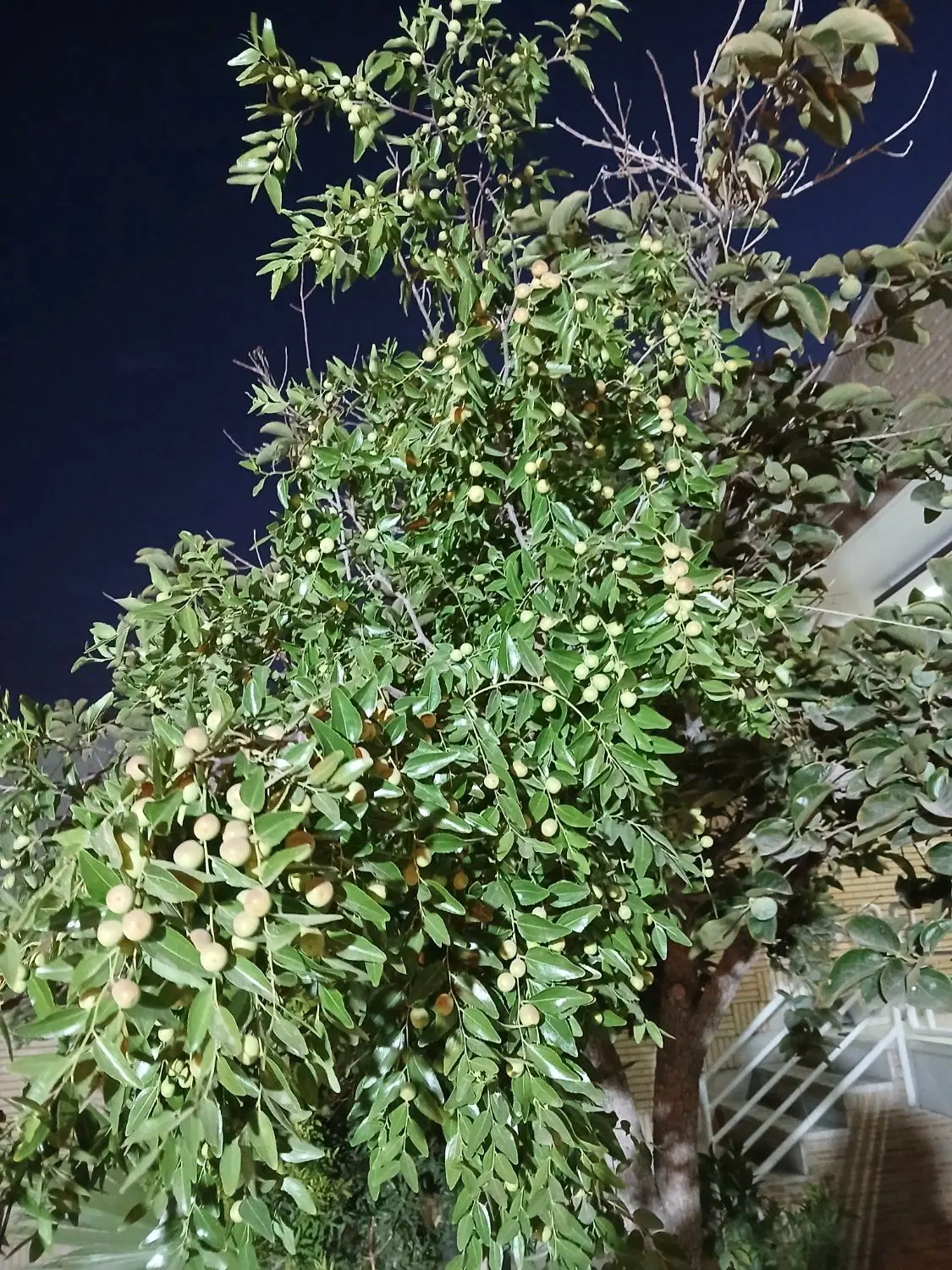 منزل ویلایی خانه اصفهان مناسب برای زندگی یا ساخت