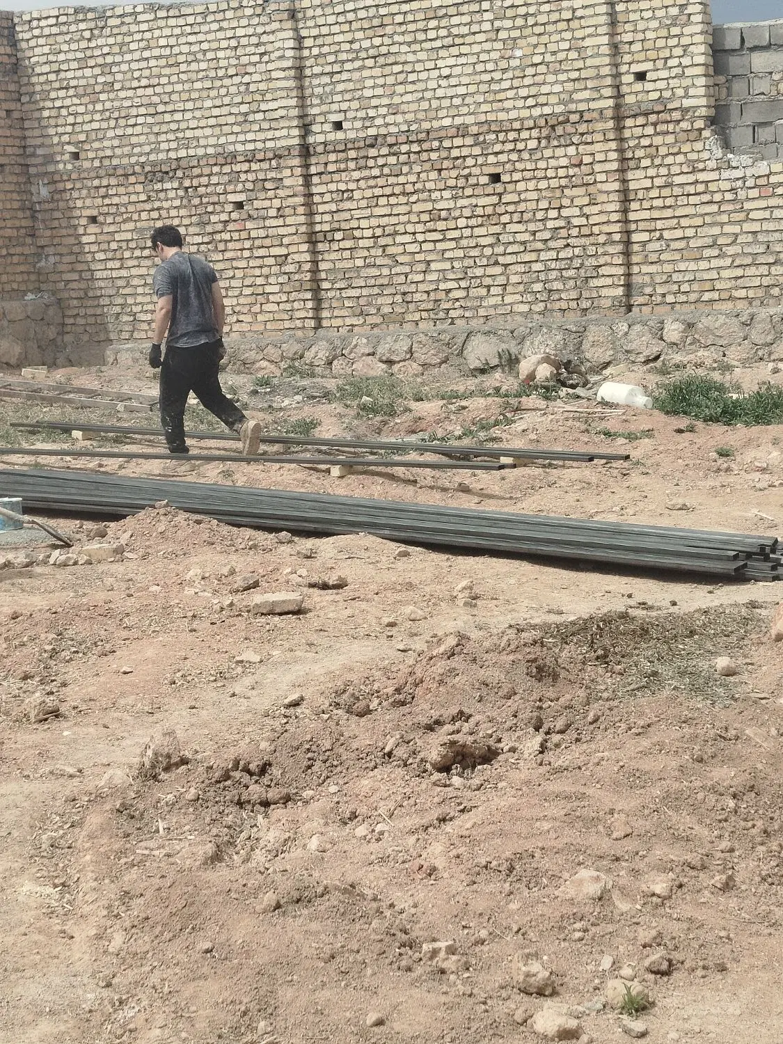 دامداری