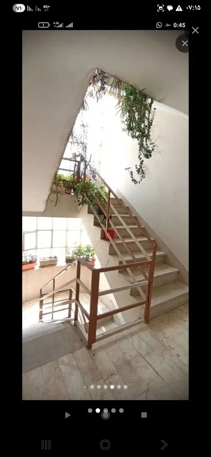 هم خانه