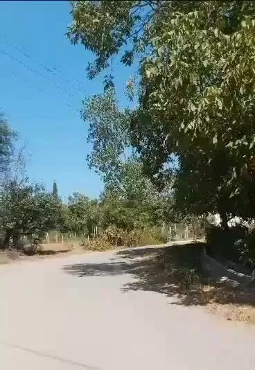 ۸۰۰مترمربع زمین مسکونی خوش قیمت اسکولک