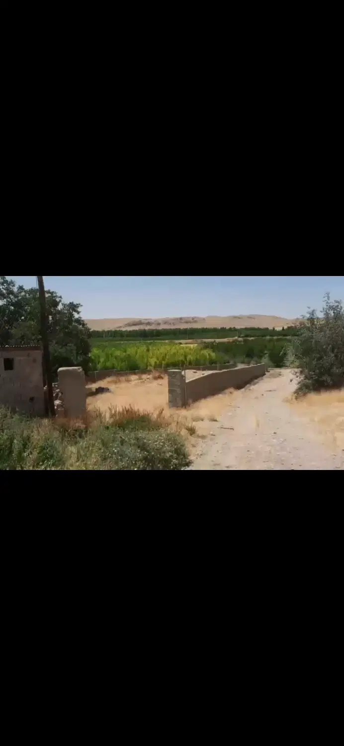 زمین باغچه باغ شهری