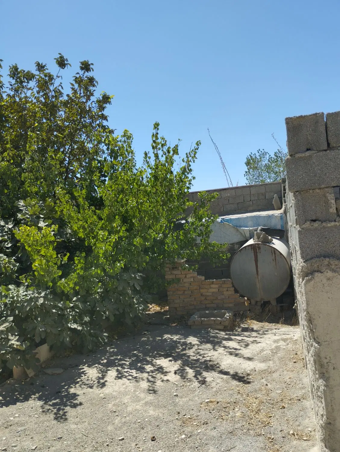 باغچه