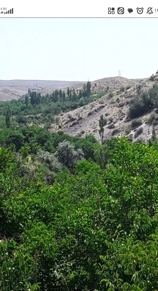 زمین ساردو