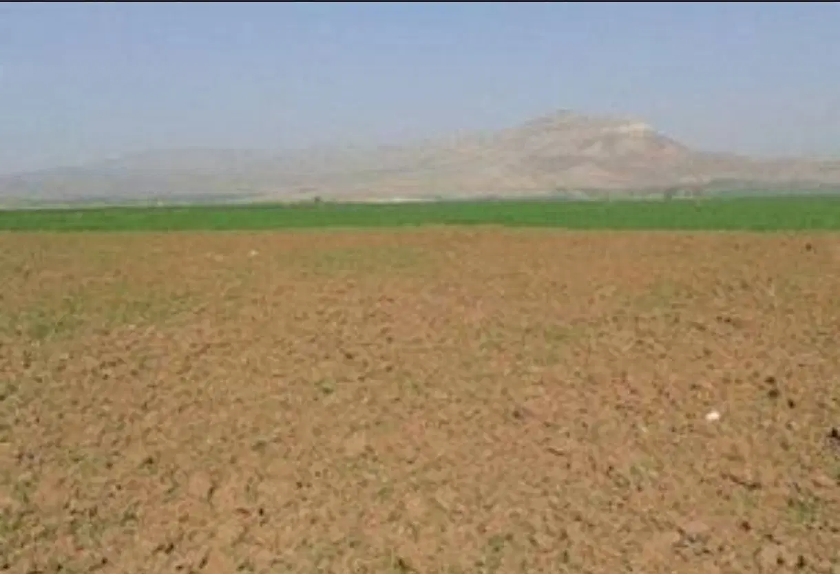 زمین کشاورزی