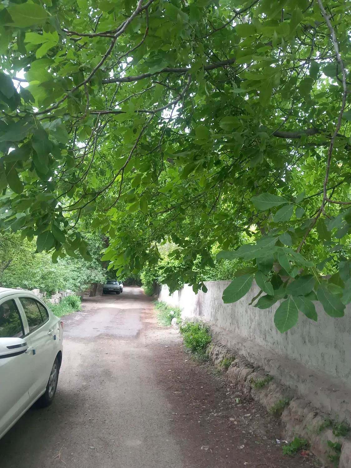 ۶۲۵مترباغ_۴ دیوار_بنای قدیمی_کردزار_بهاران شهریار