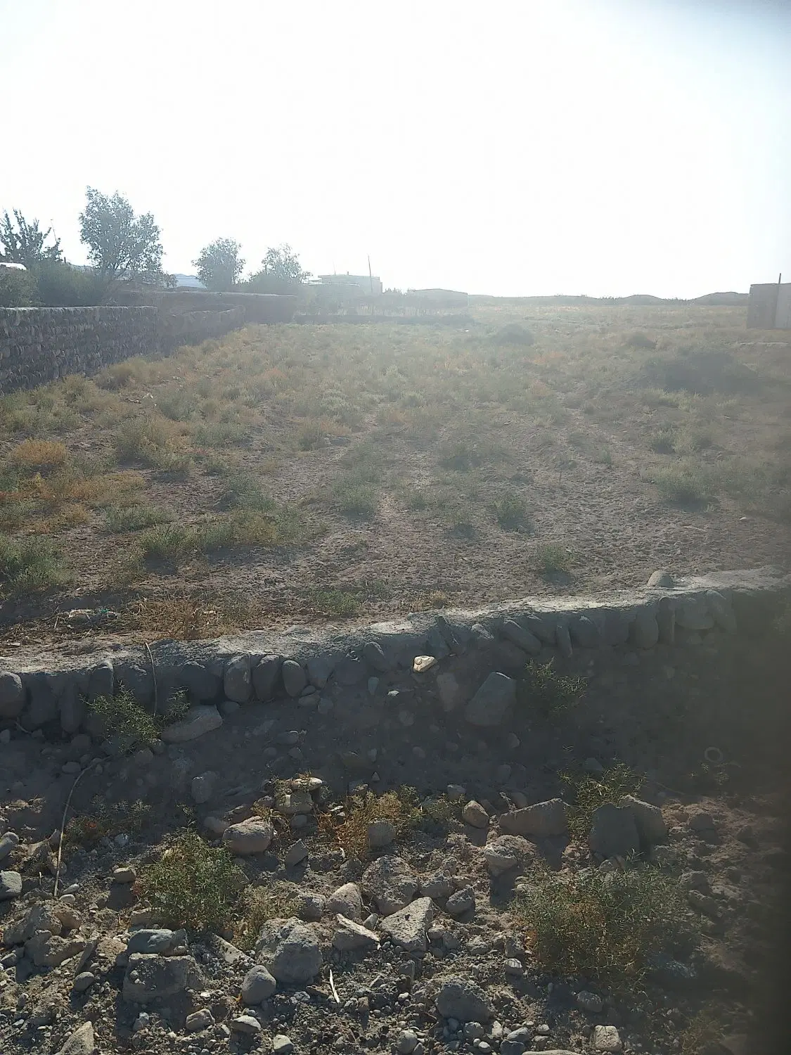 زمین