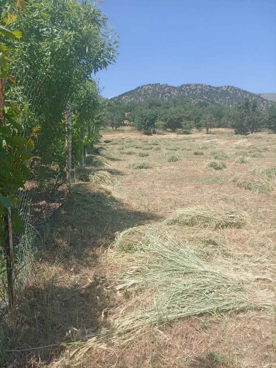 زمین خام کشاورز