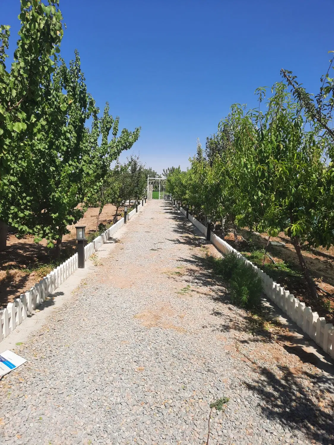 باغ ۲۰۰۰متری یکن آباد