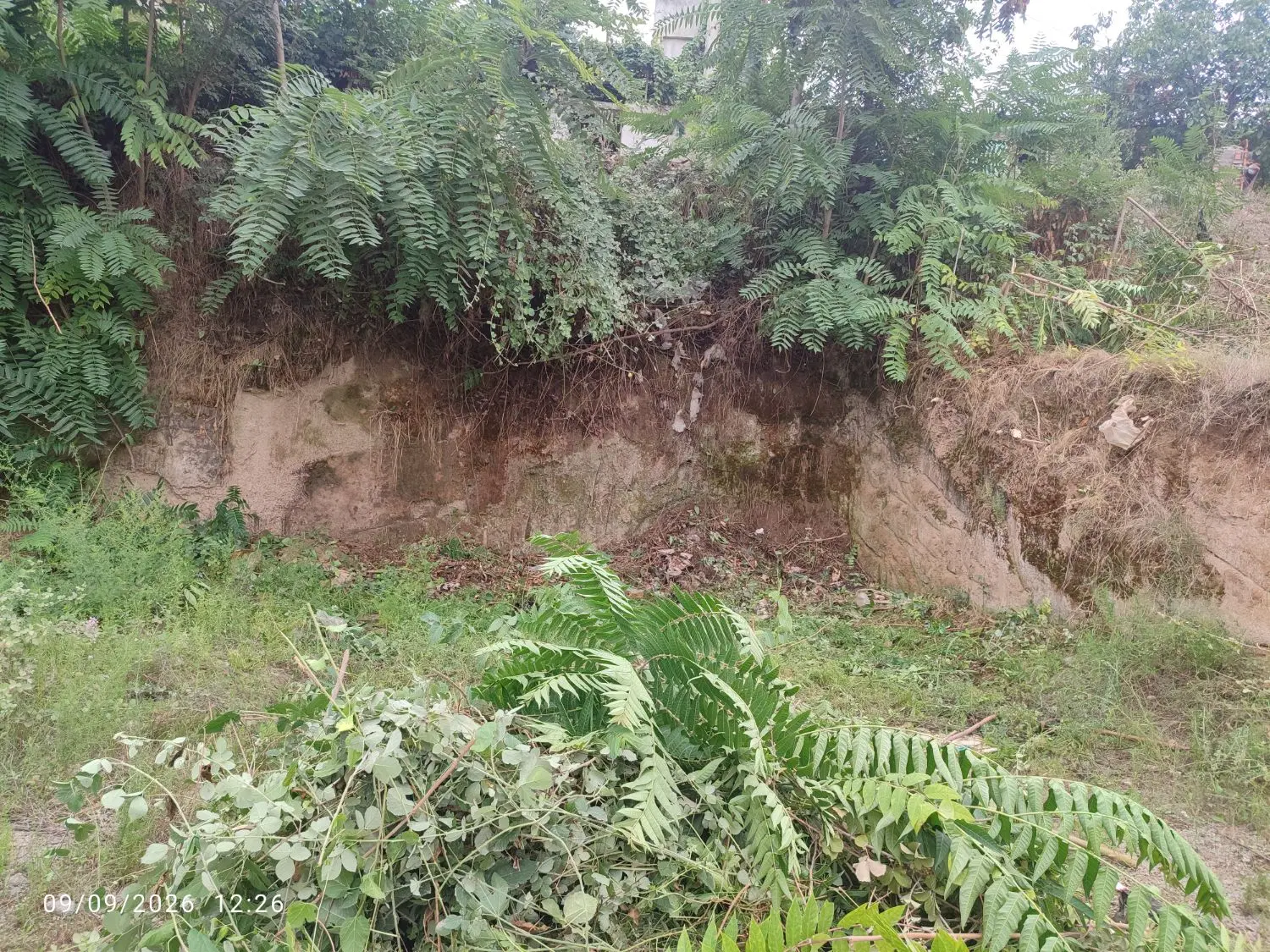 زمین مسکونی تجاری