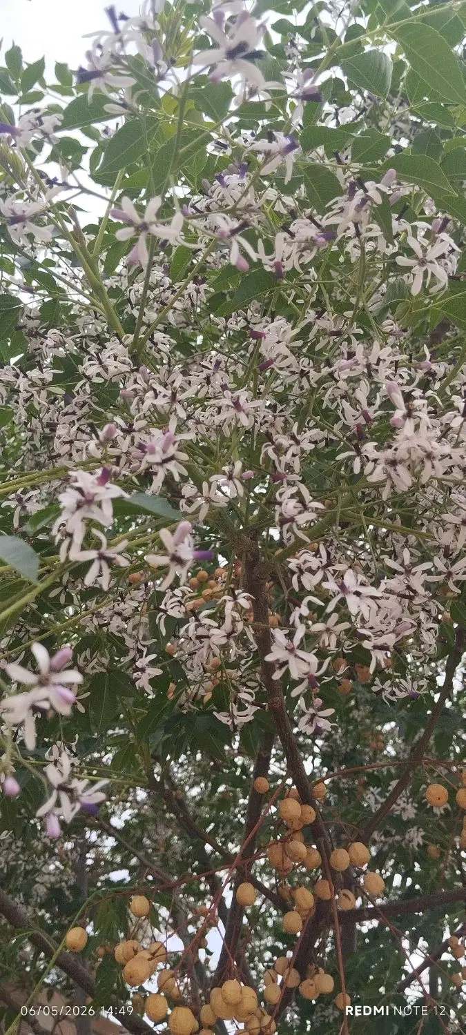 واحد اداری در بهاران