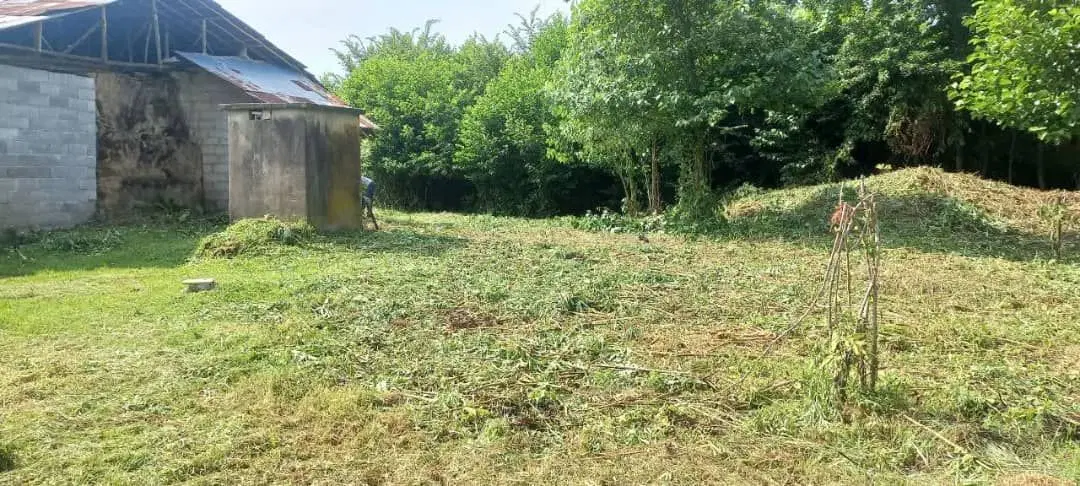 زمین روستایی در روستای دهنده