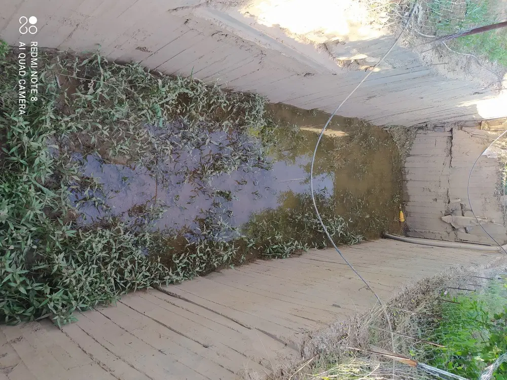 باغ در یاغبستلو